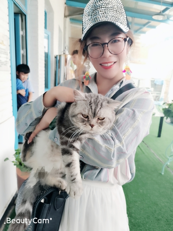 小黑猫的第一张照片--屏南相亲网