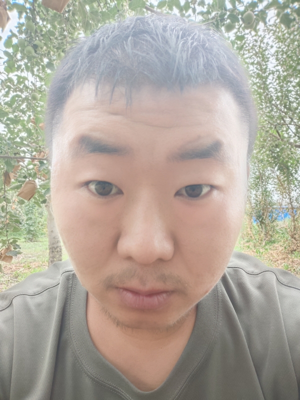 明天的第一张照片--屏南相亲网