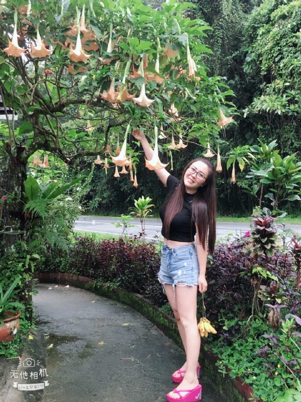 离异单身无子的第二张照片--屏南相亲网