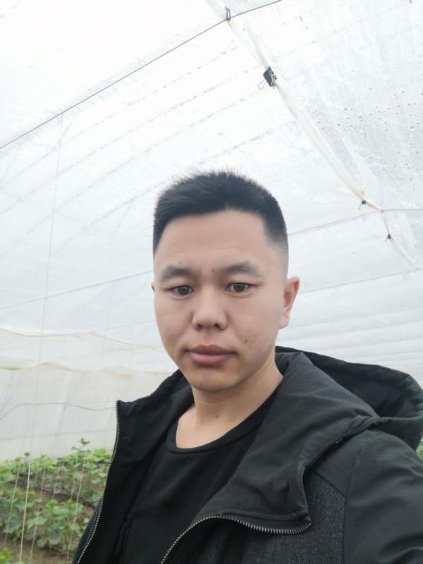 宇成的第二张照片--屏南相亲网