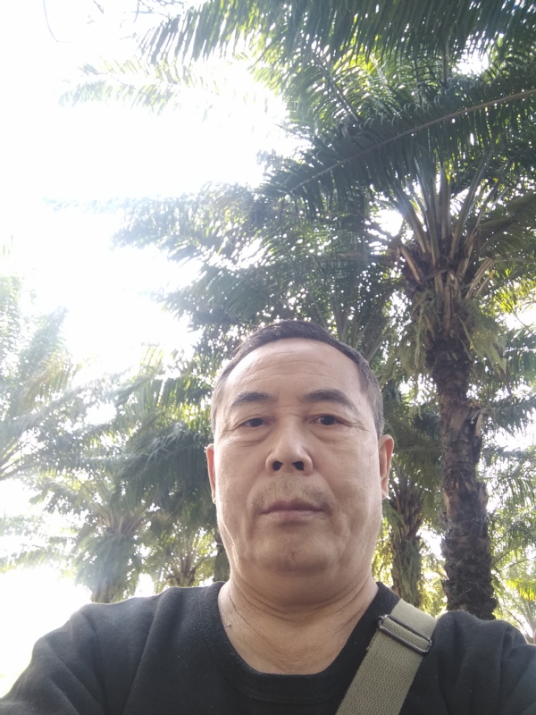 重振雄风的第二张照片--屏南相亲网