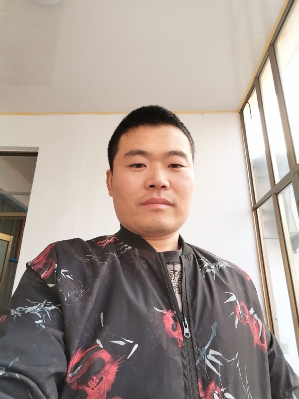 会飞的猪的第一张照片--屏南相亲网