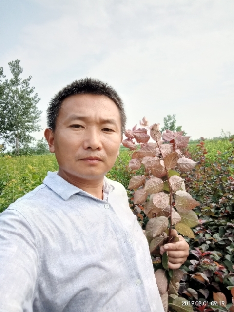 孩子爸的第一张照片--屏南相亲网