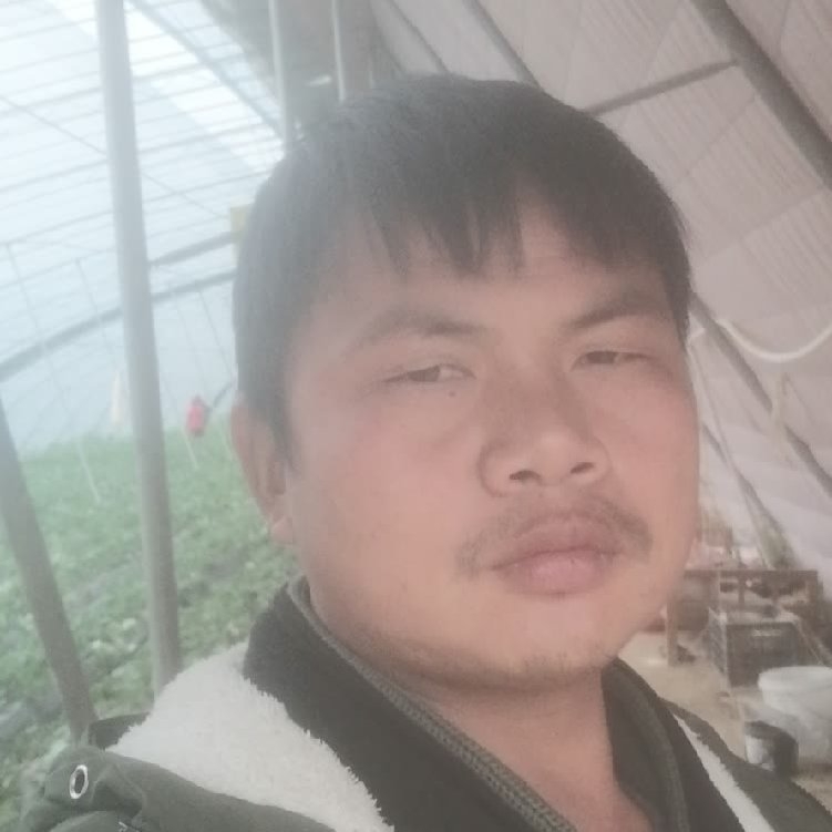 孤狼‘的第一张照片--屏南相亲网
