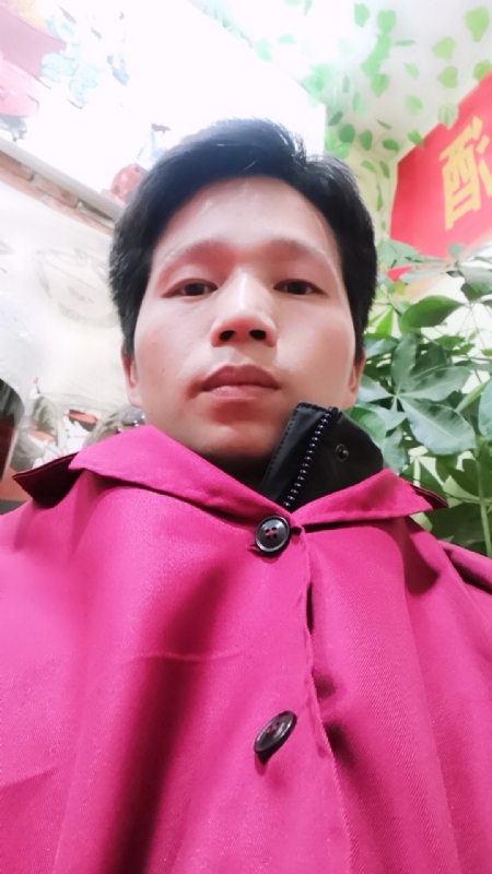 单身的林凡的第二张照片--屏南相亲网