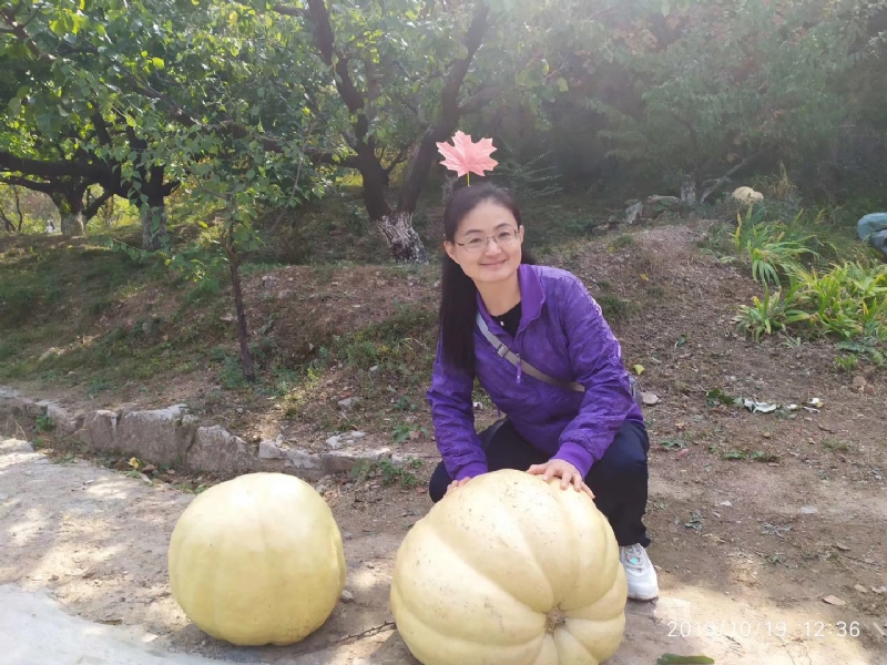 海绵宝宝的第一张照片--屏南相亲网