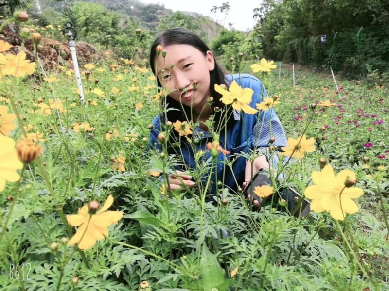 哈哈的第一张照片--屏南相亲网