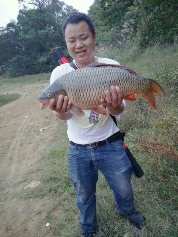 迷路的男人的第一张照片--屏南相亲网