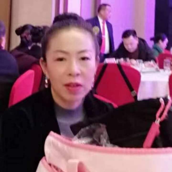 中秋桂花玉兔的第四张照片--屏南相亲网