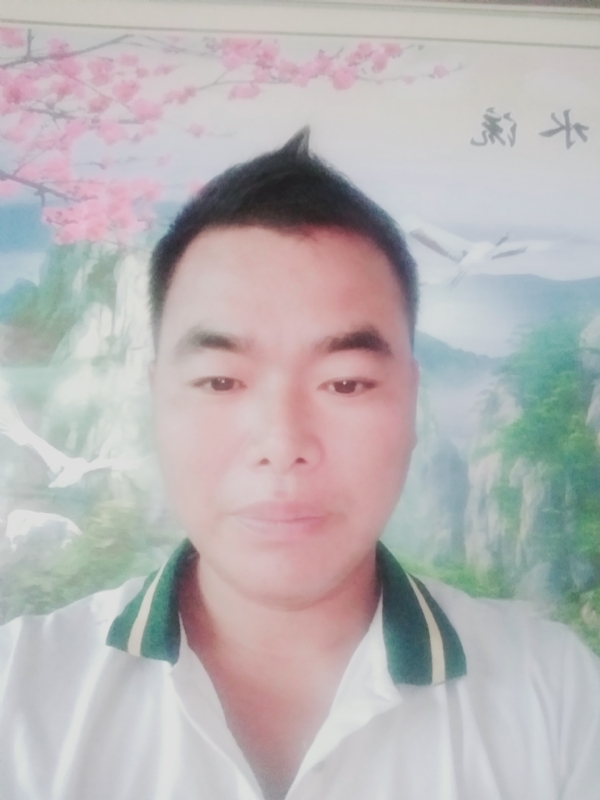 阳光男孩的第二张照片--屏南相亲网
