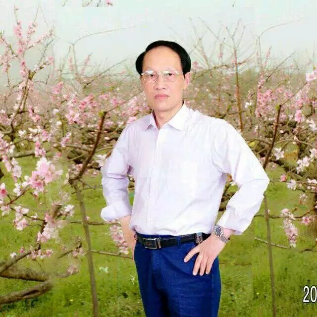 枫叶的第一张照片--屏南相亲网